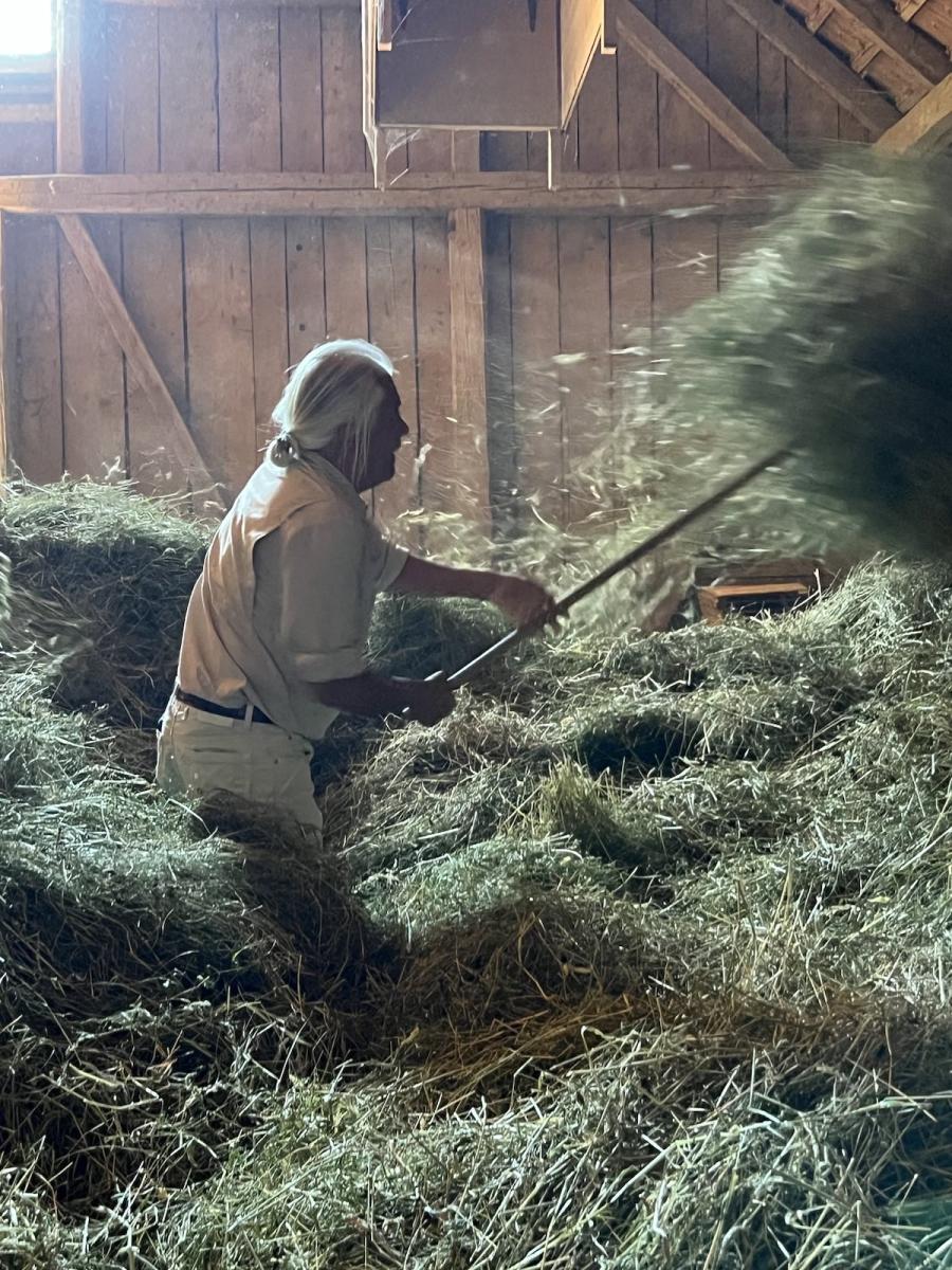 Helping Jörg in the Farm Barn -<br>Emahó loved it so much